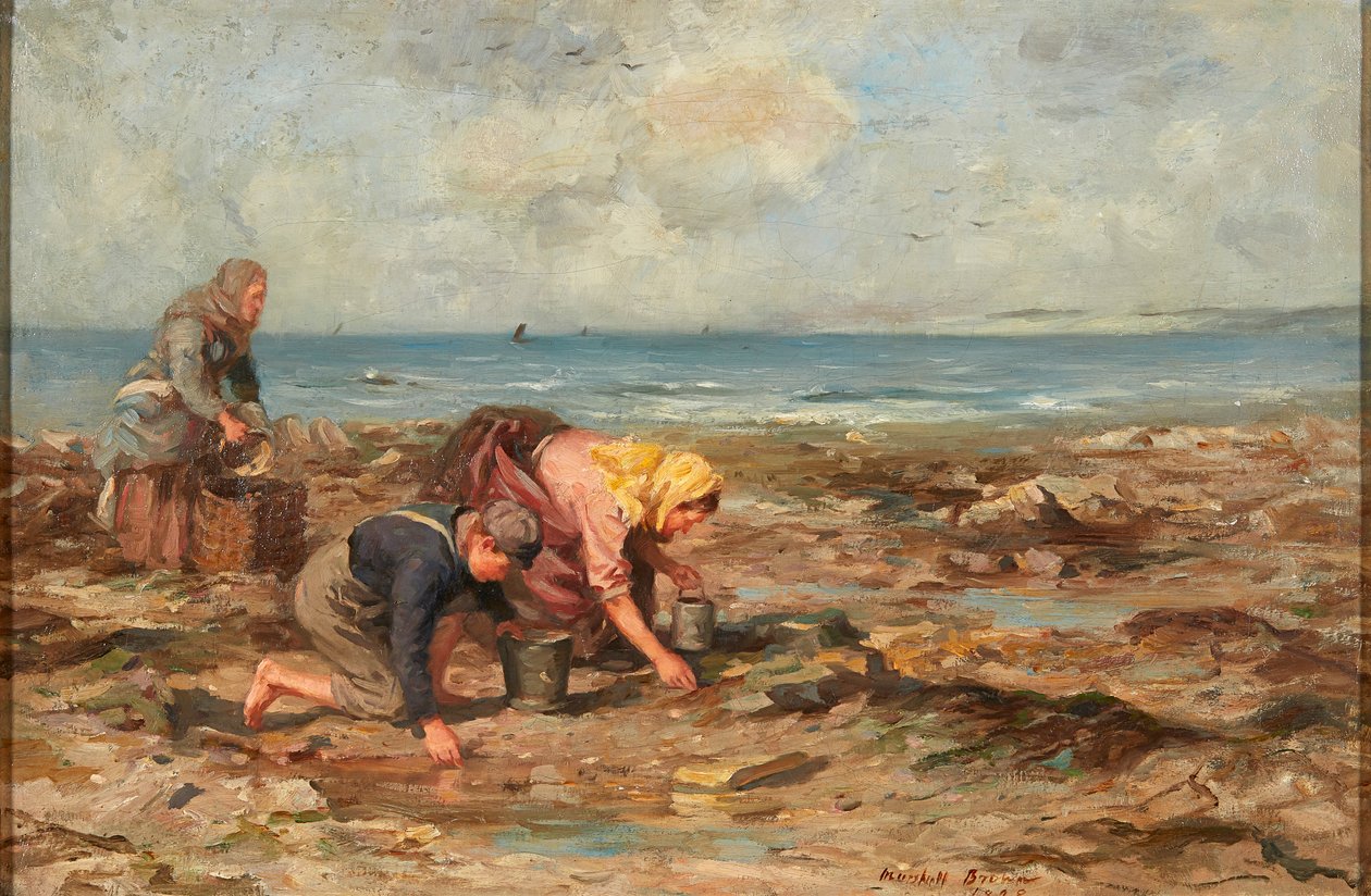 Muschelsammler von William Marshall Brown