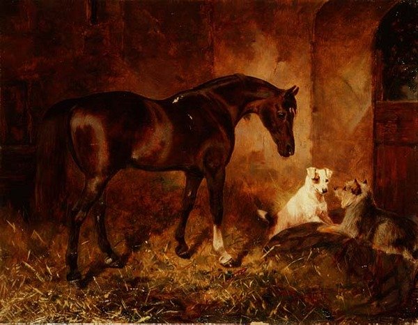 Im Stall von William Osborne