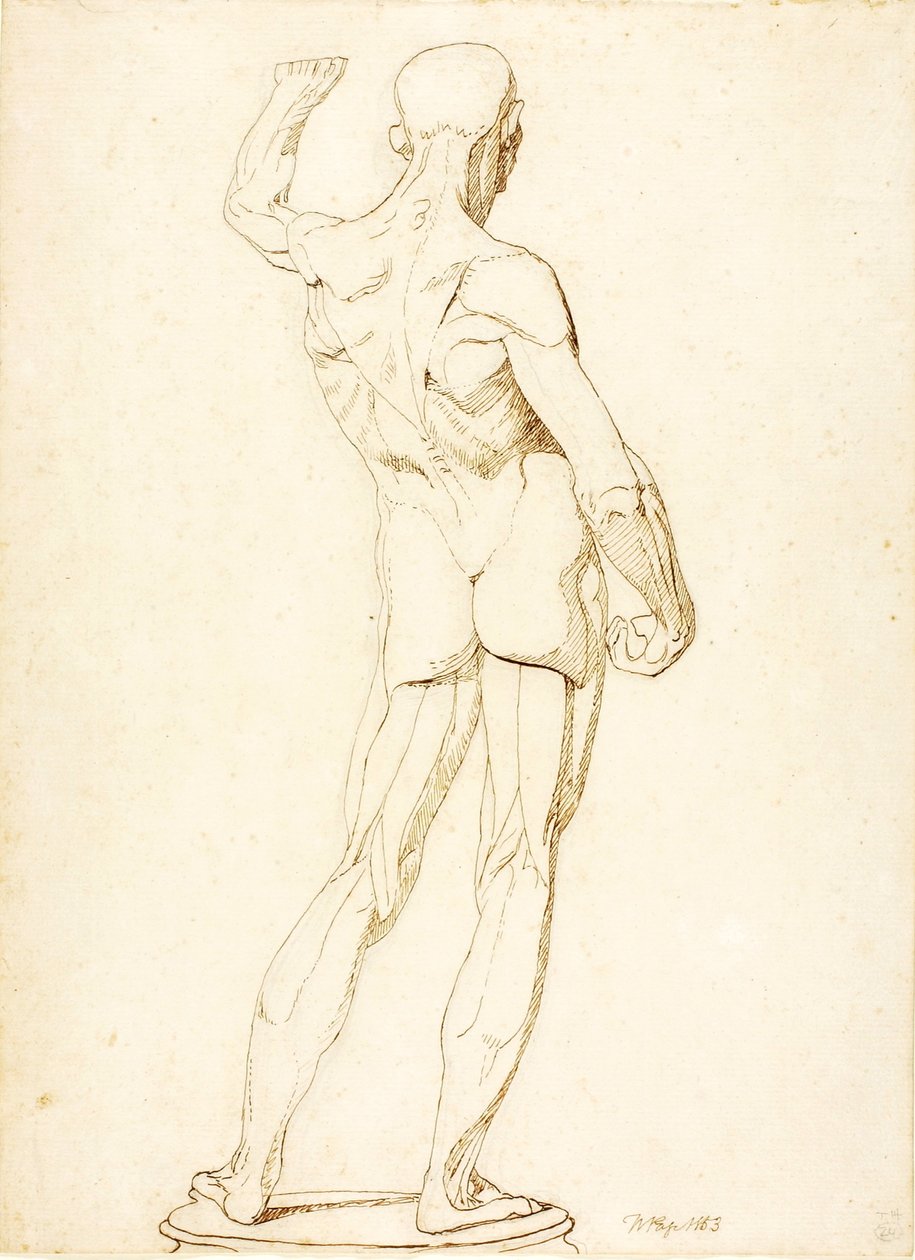 (Ein Ecorche, Rückansicht) von William Page