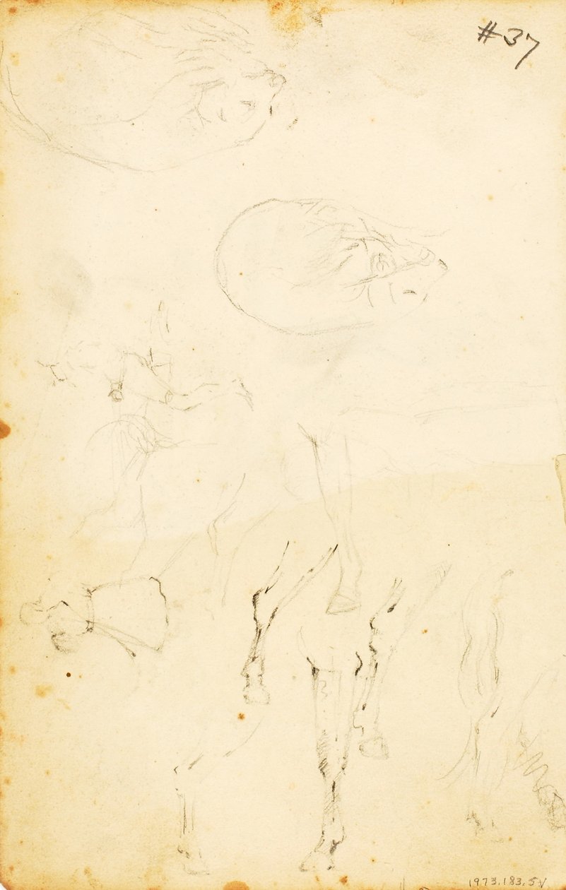 (Studien--Figuren, Baumstamm, Pferd und Reiter, etc.) von William Page