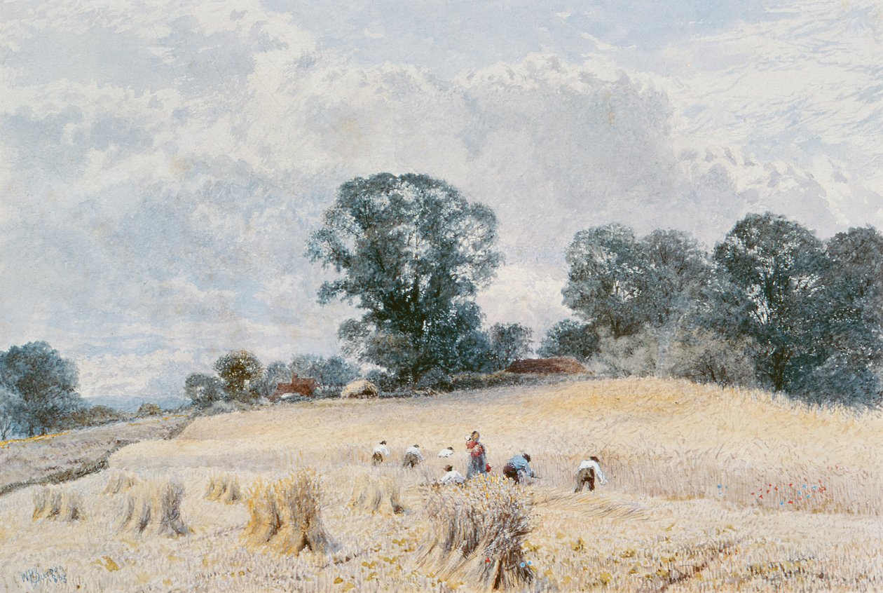 Die Ernte von William Paton Burton