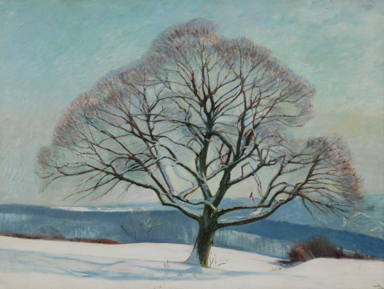 Baum im Winter von William Rothenstein