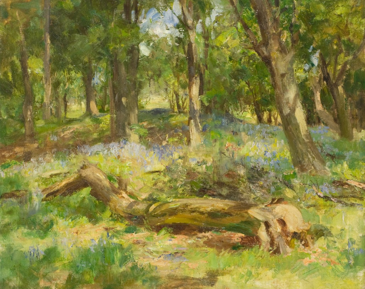 Waldszene von William Stewart MacGeorge