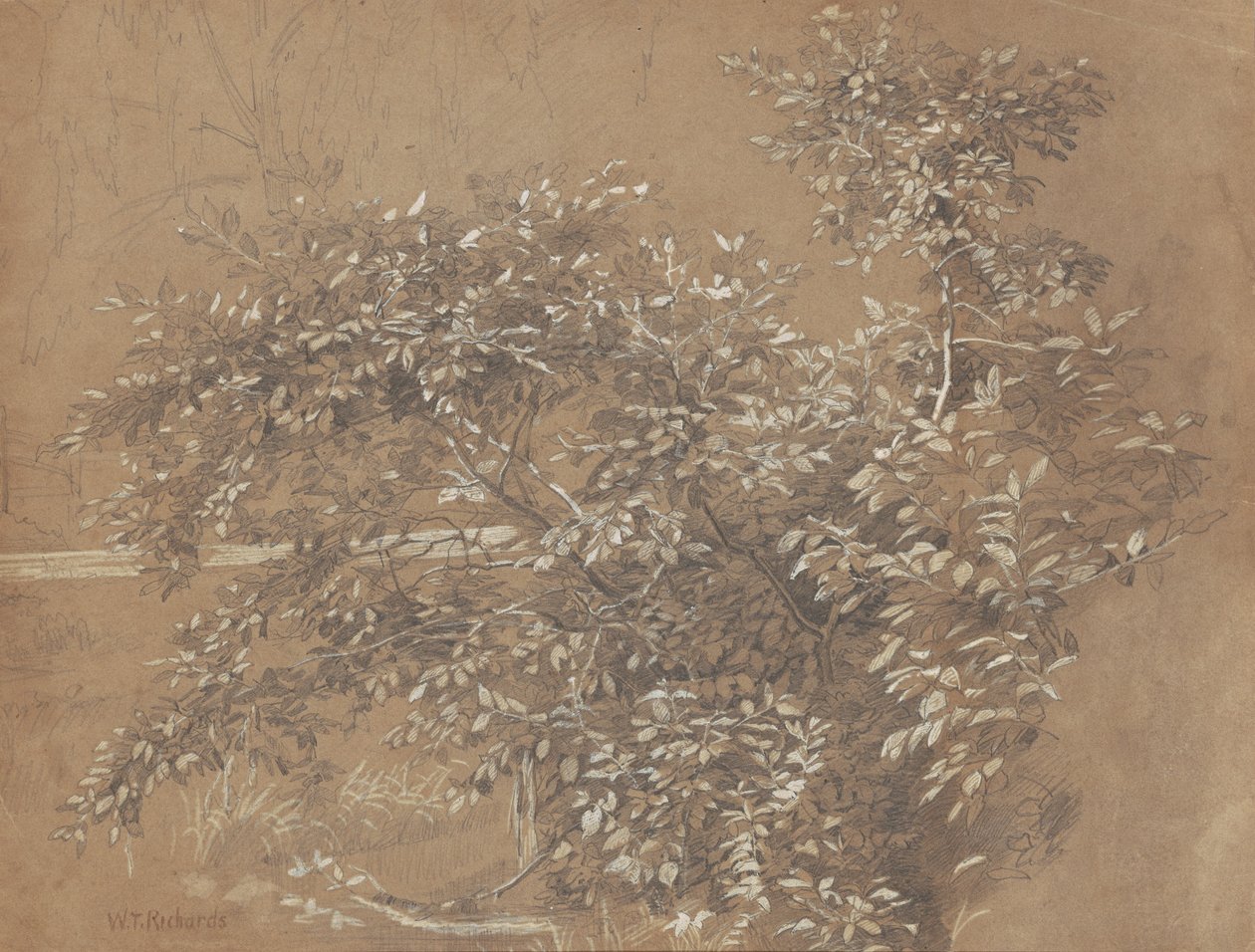 Laub von William Trost Richards