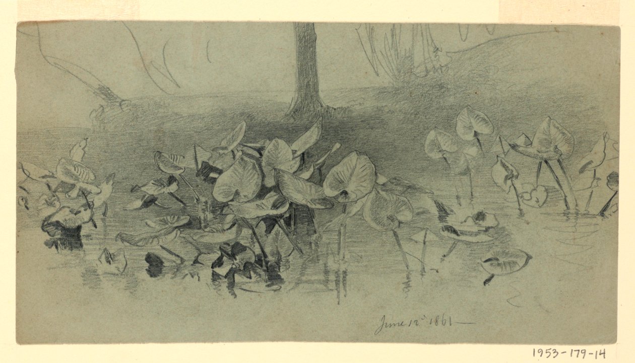 Studie des Laubs von William Trost Richards