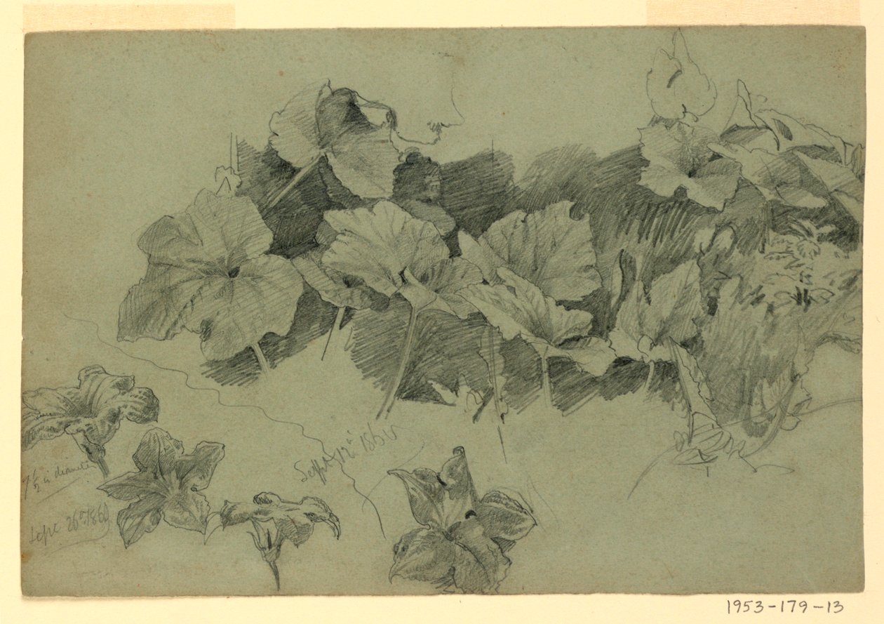 Studie von Laub von William Trost Richards