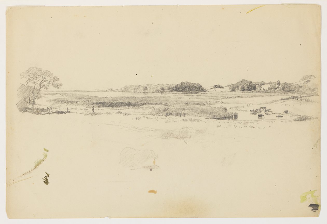 Studie der Küste, Rhode Island von William Trost Richards