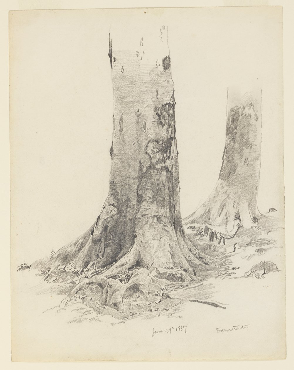 Baumstämme, Darmstadt von William Trost Richards