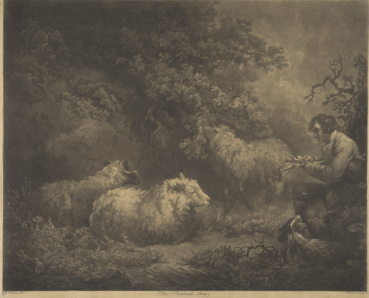 Der Hirtenjunge von William Ward