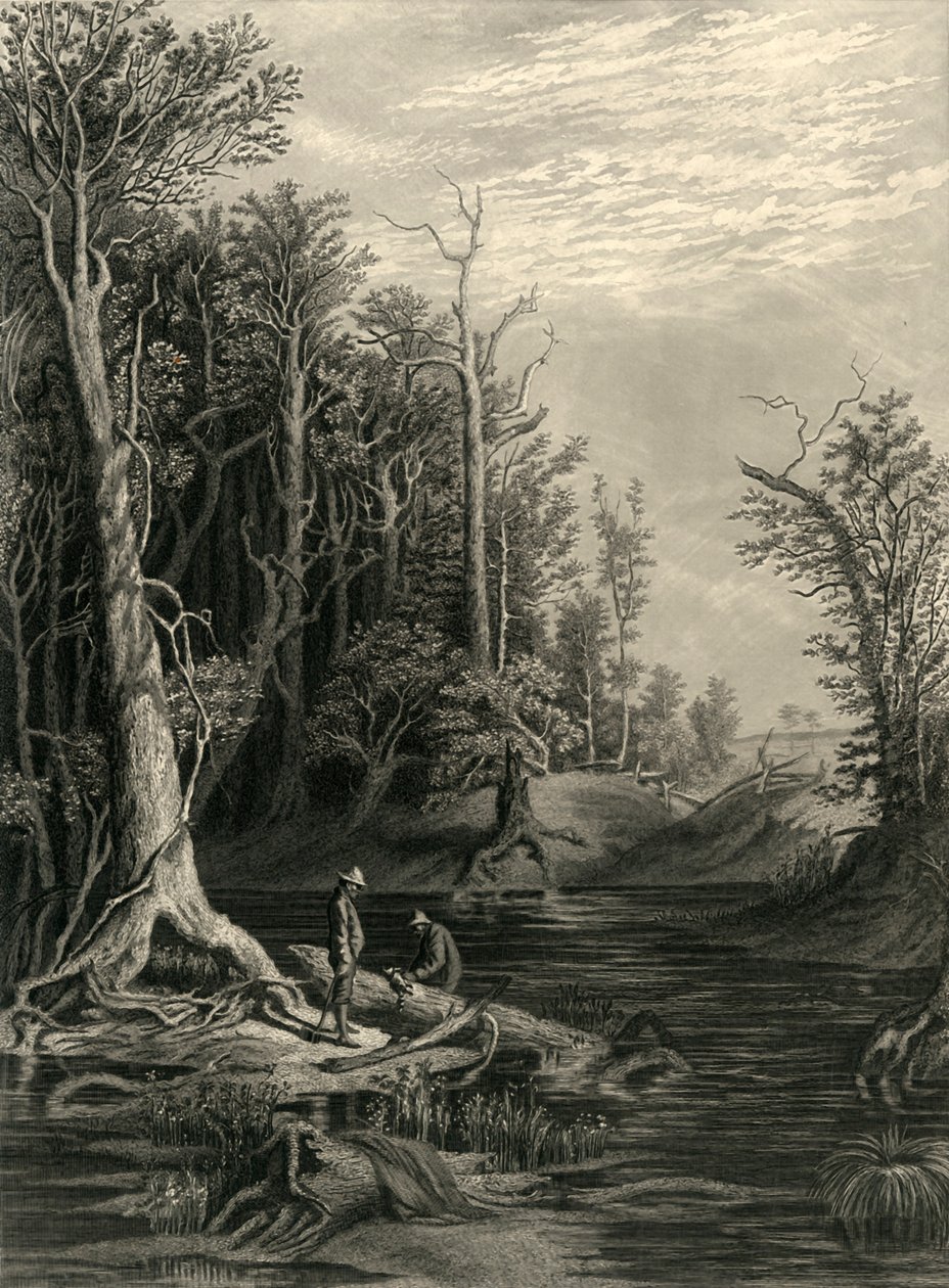 Der Chickahominy, 1872 von William Wellstood