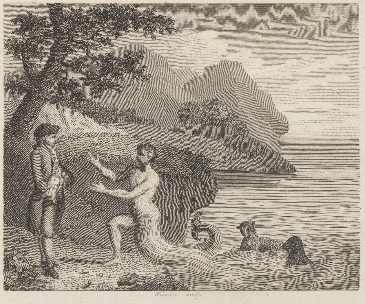 Höfling und Proteus von Wilson