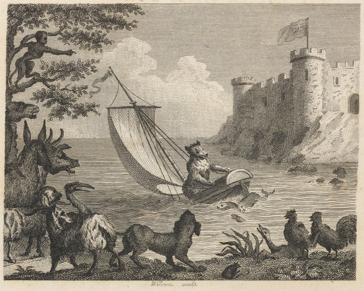Der Bär im Boot von Wilson