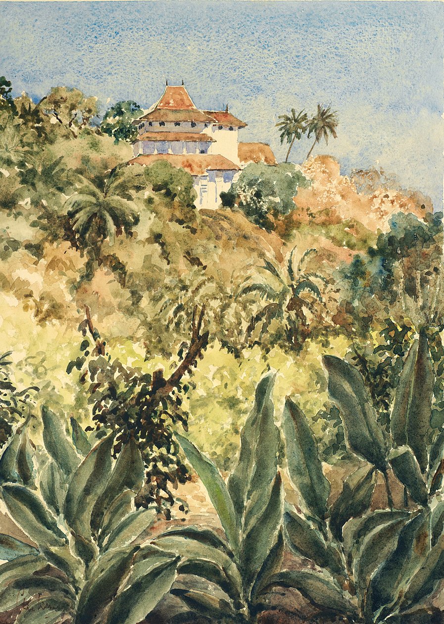 723 Lankatilaka aus dem Pfeffergarten von Wilson Clive