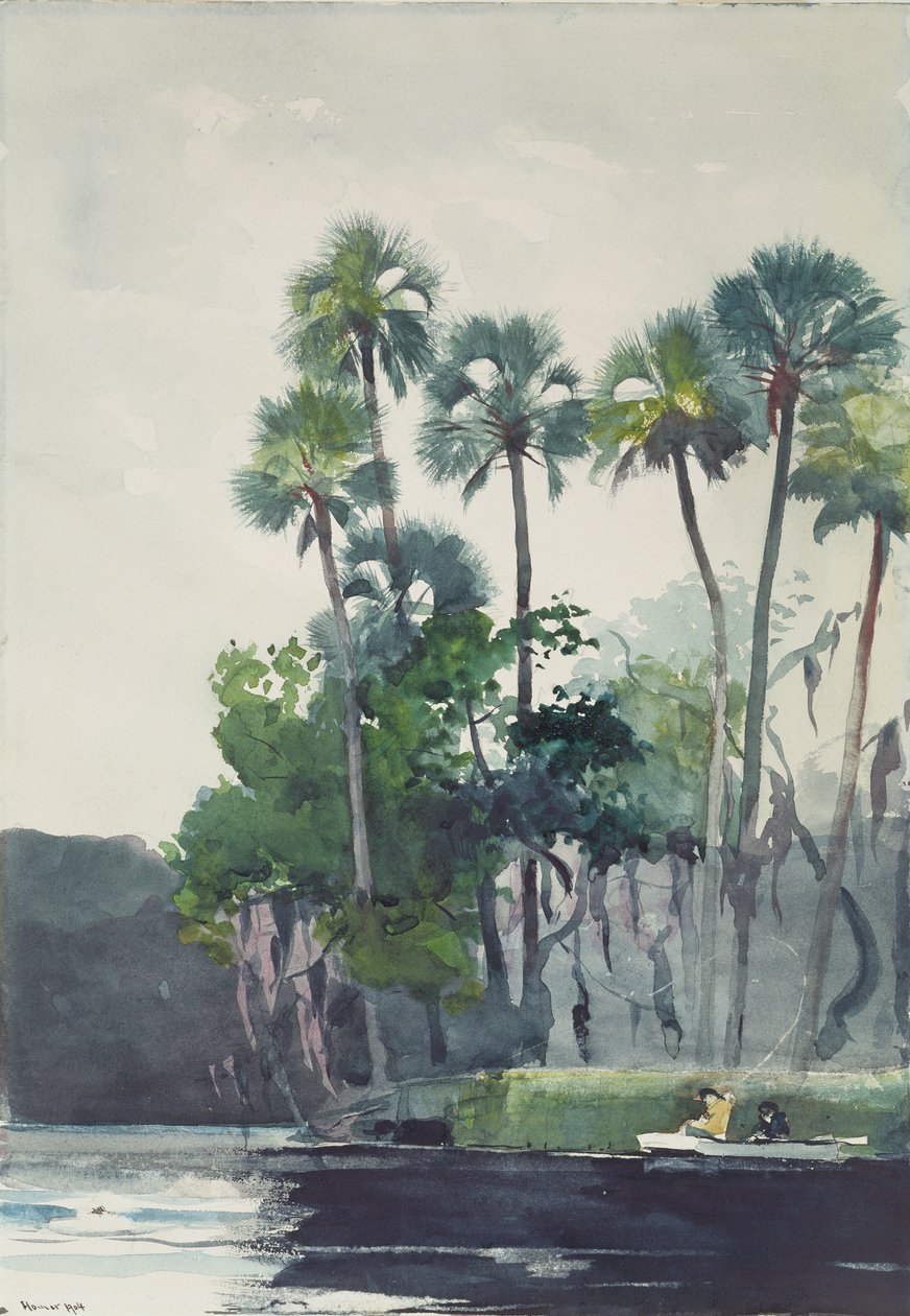 Homosassa River, 1904 von Winslow Homer