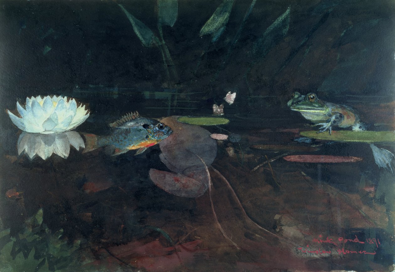 Mink-Teich von Winslow Homer