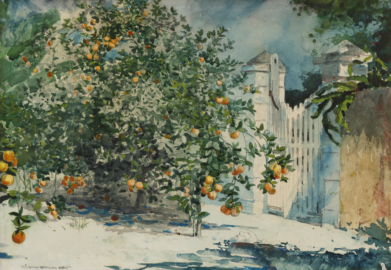 Orangenbäume und Tor von Winslow Homer