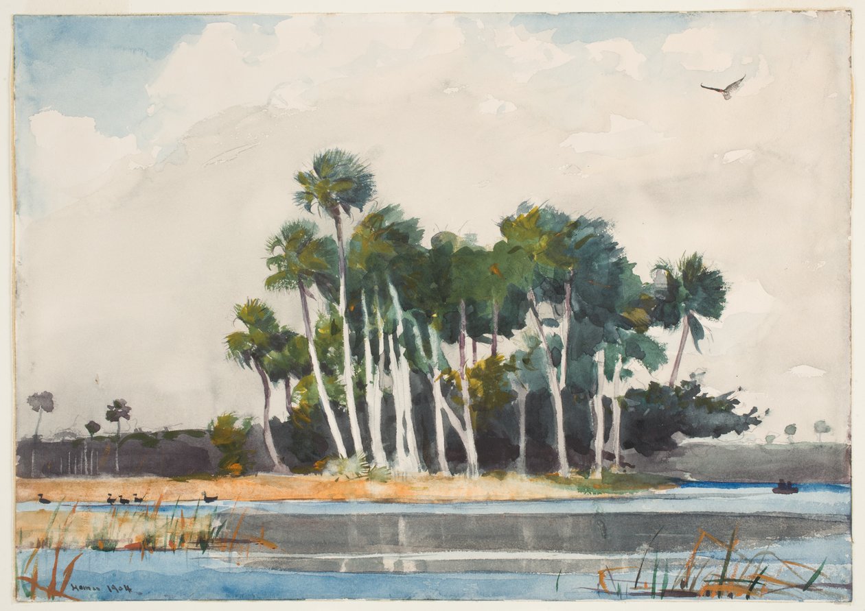 Der Truthahngeier von Winslow Homer