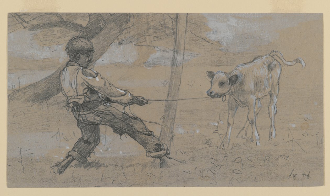 Das ungestüme Kalb von Winslow Homer