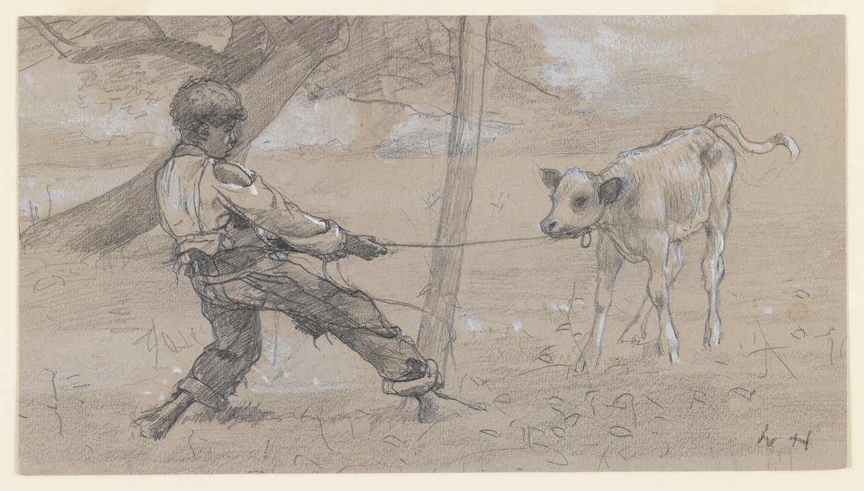 Das unruhige Kalb, ca. 1875-76 von Winslow Homer