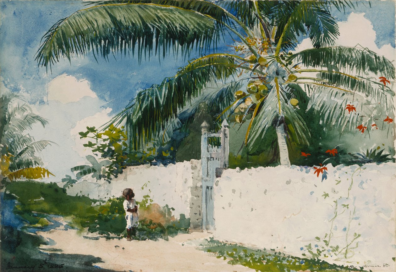 Ein Garten in Nassau von Winslow Homer