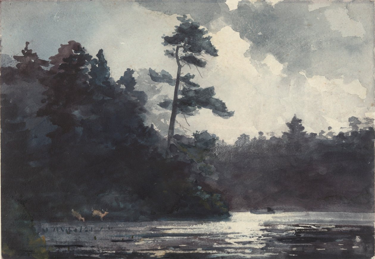 Adirondack-See von Winslow Homer