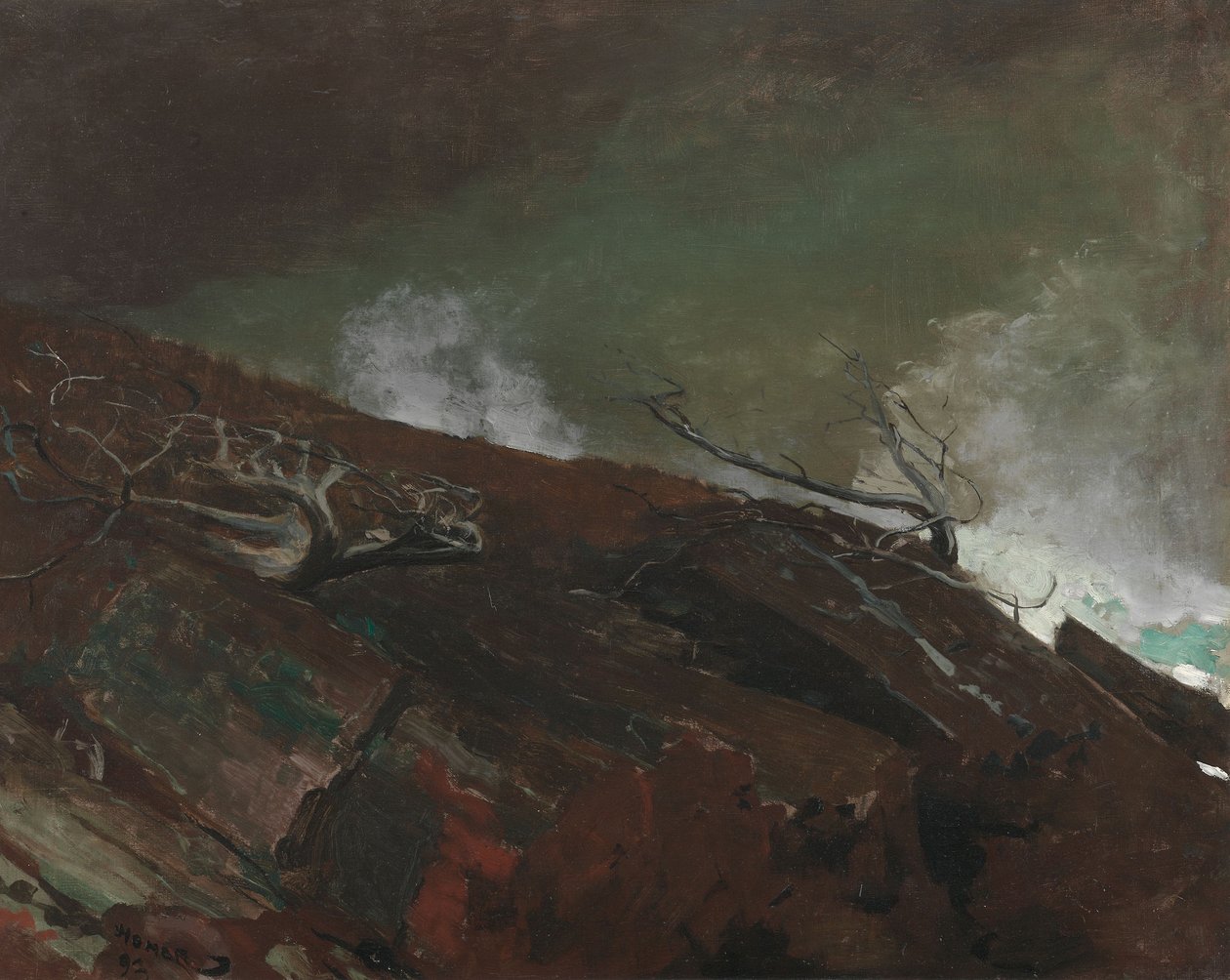 Küste von Maine von Winslow Homer