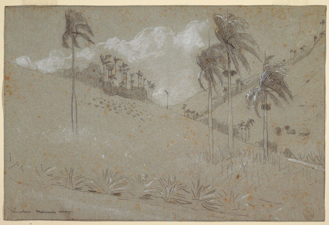Kubaner Hügellandschaft, 1885 von Winslow Homer