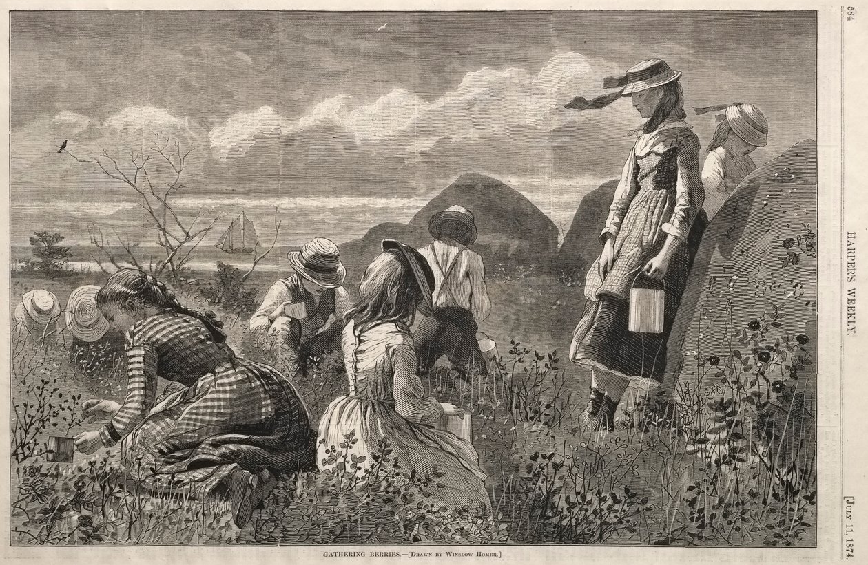 Beeren sammeln, 1874 von Winslow Homer
