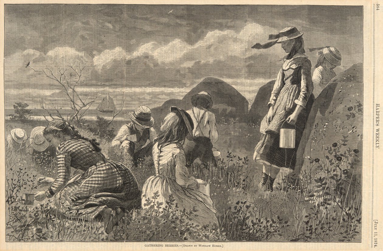 Beeren sammeln, aus Harper von Winslow Homer