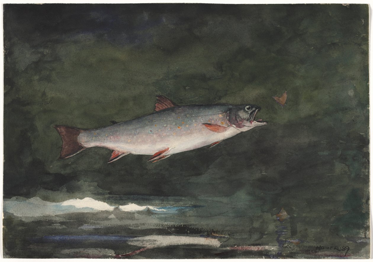 Springende Forelle, 1889 von Winslow Homer