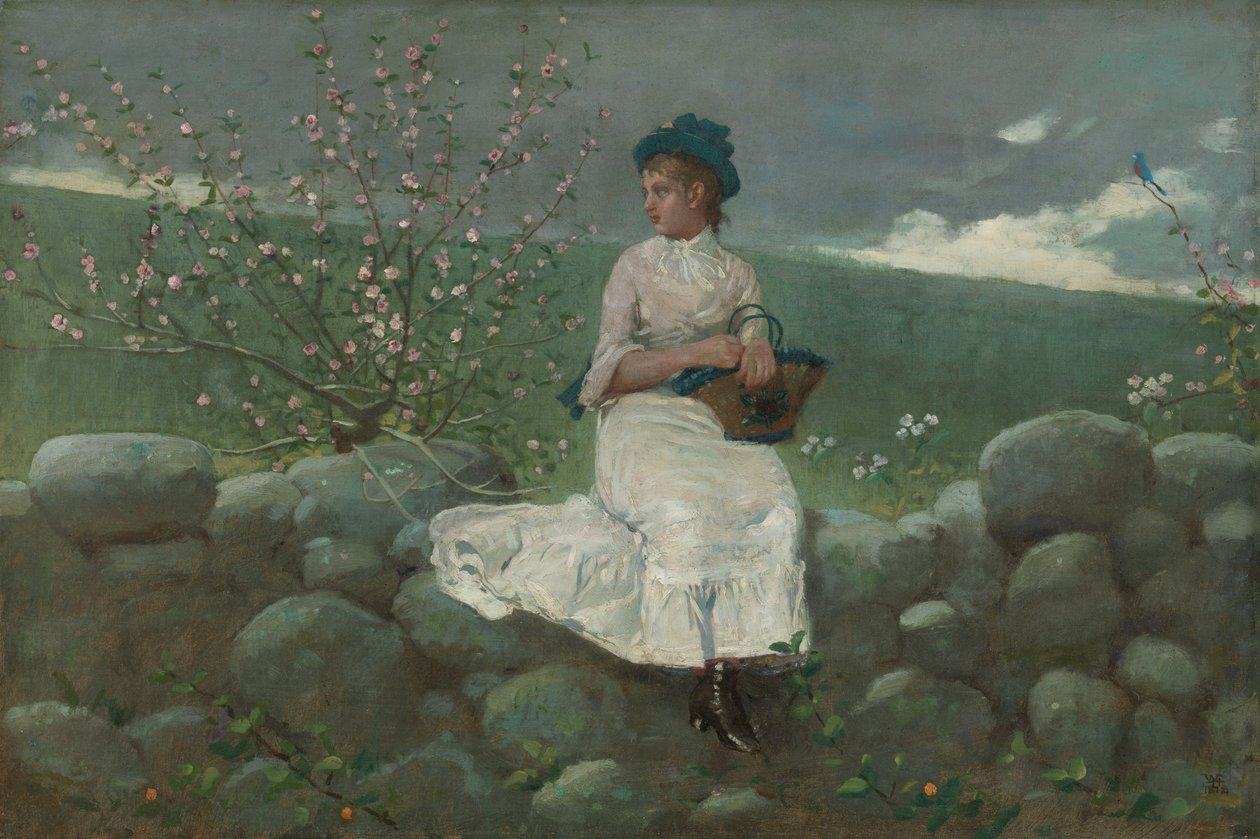 Pfirsichblüten, 1878 von Winslow Homer