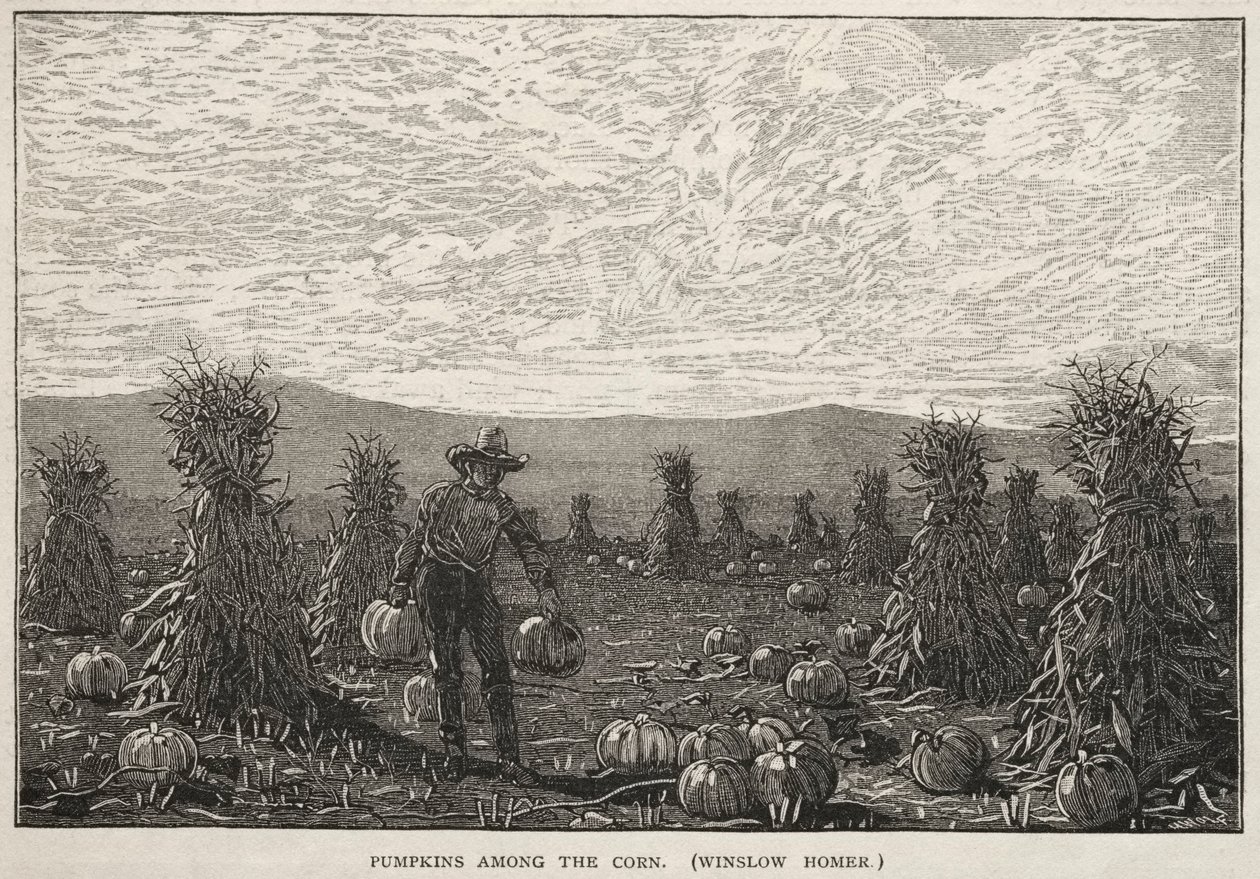 Kürbisse unter dem Mais von Winslow Homer