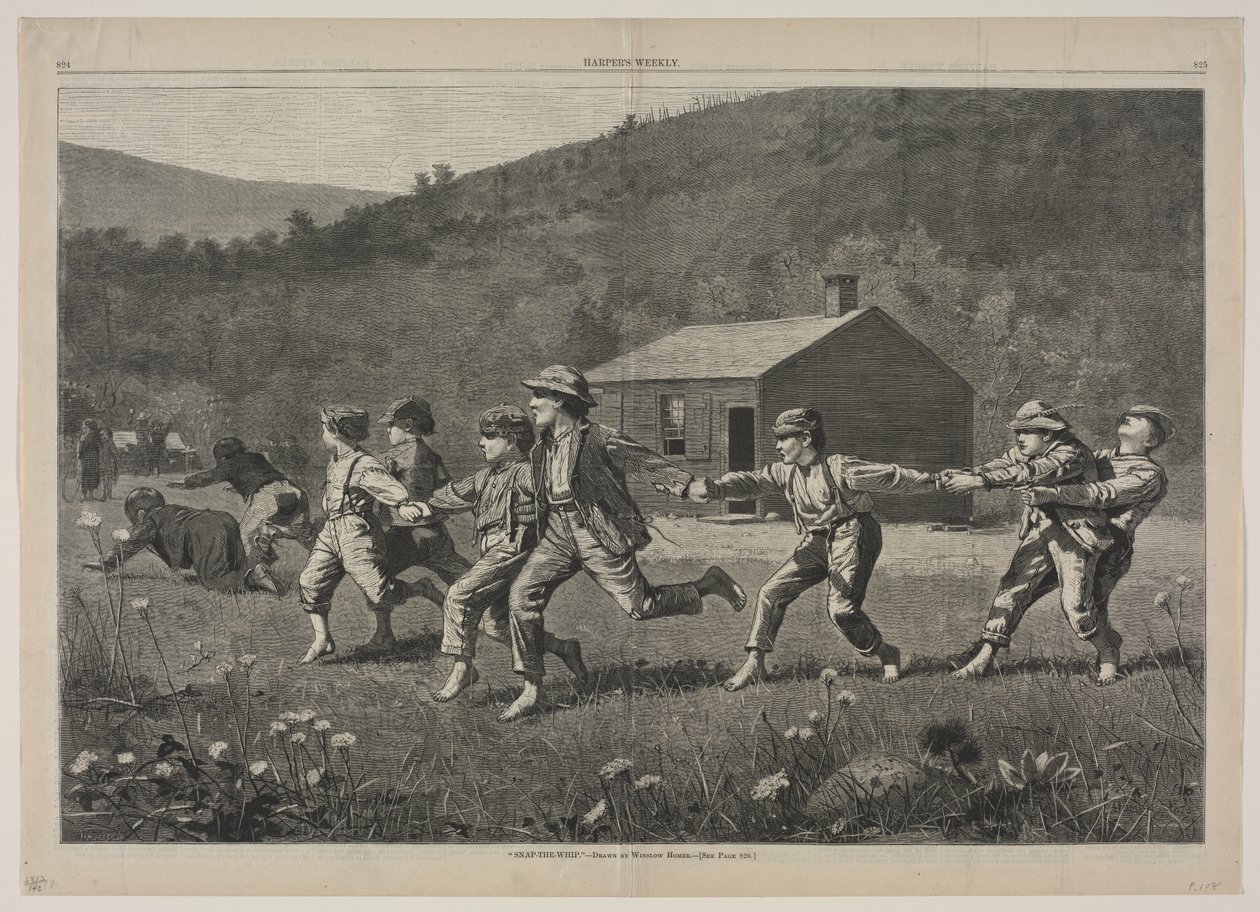 Fang-die-Peitsche von Winslow Homer
