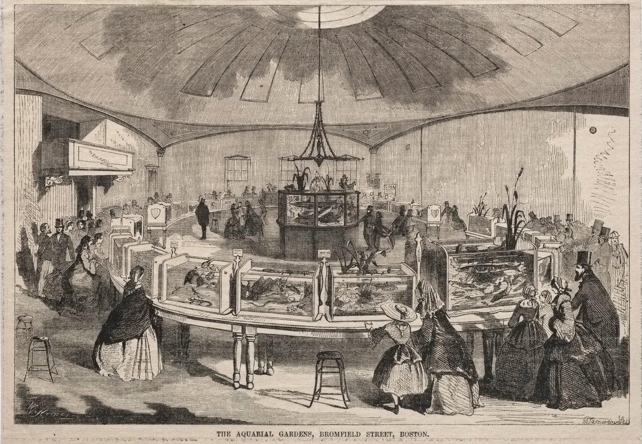 Die Aquarialgärten, Bromfield Street, Boston von Winslow Homer