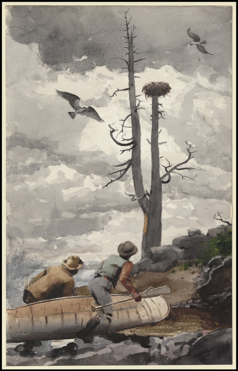 Das Nest des Adlers, 1902 von Winslow Homer