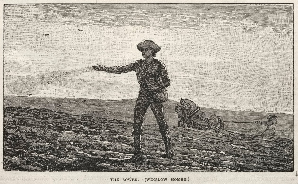 Der Sämann von Winslow Homer