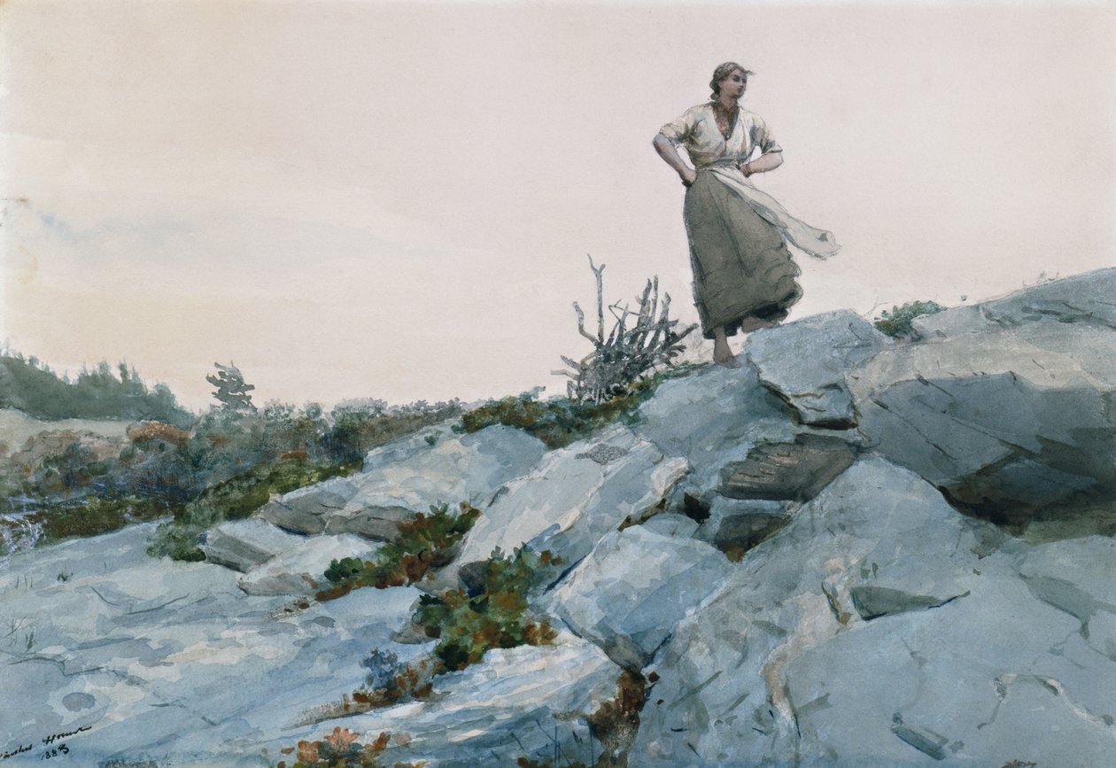 Der Zweigsammler, 1883 von Winslow Homer