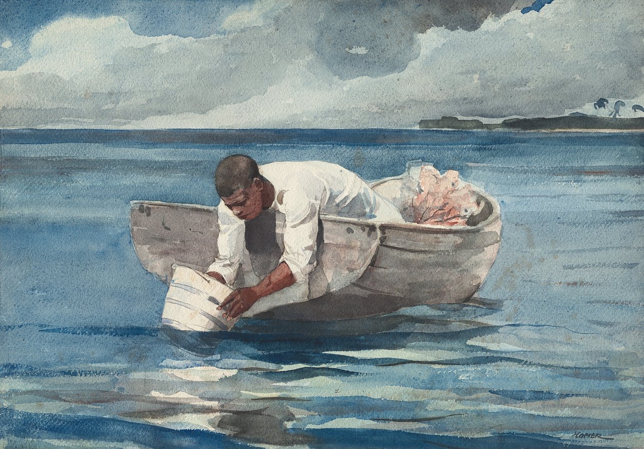 Der Wasserfächer, 1898-99 von Winslow Homer