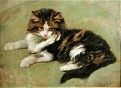 Studie einer Katze von Wright Barker