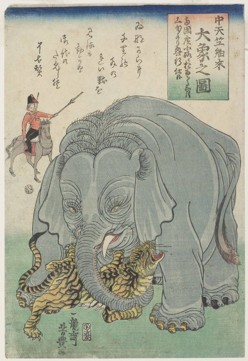 Elefant aus Indien mit Tiger von Yoshitoyo