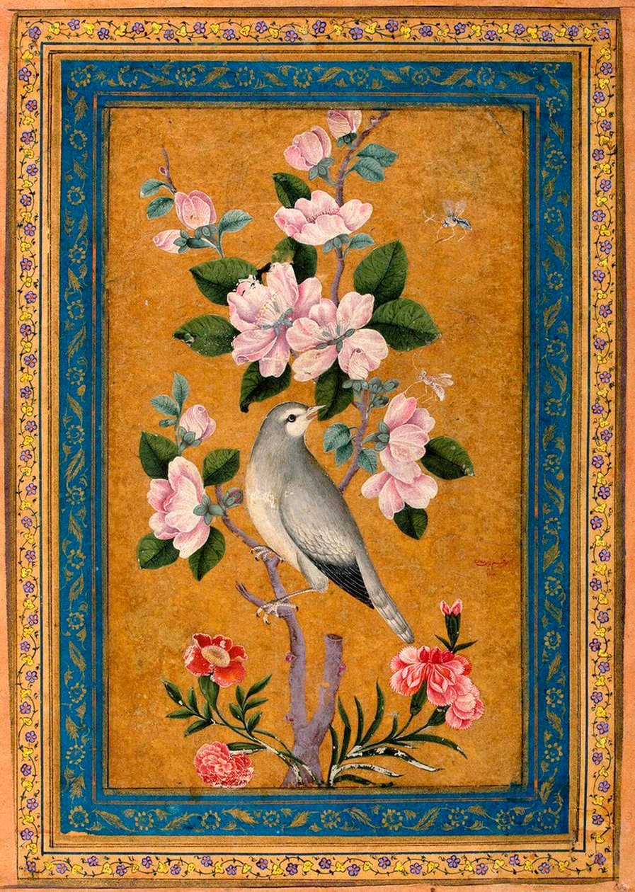 Vogel auf einem blühenden Ast von Yusuf Zaman