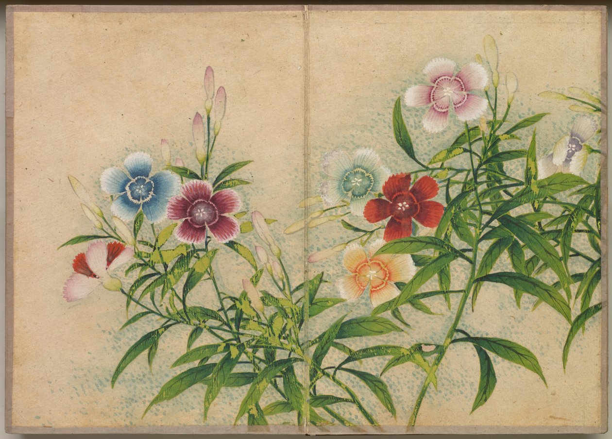Schreibtischalbum: Blumen- und Vogelmalereien (Nelken) von Zhang Ruoai
