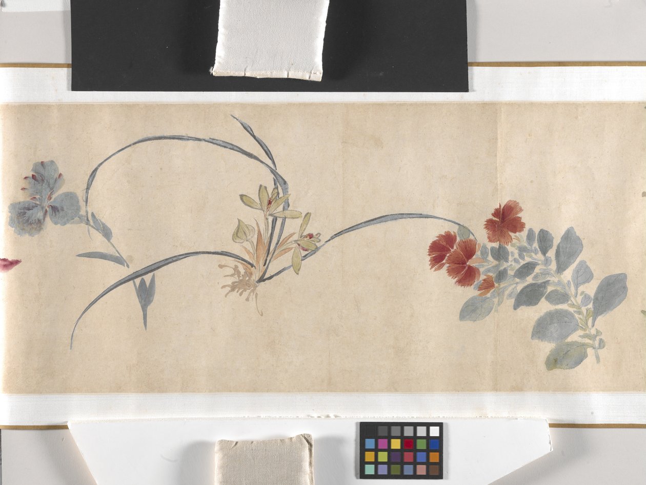 Farbige Blumen von Zhimian Zhou