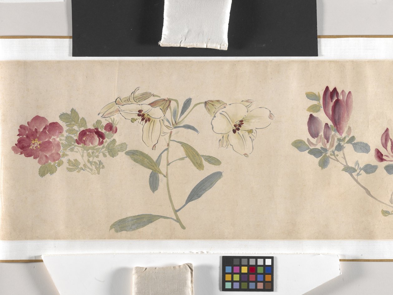 Bunte Blumen von Zhimian Zhou