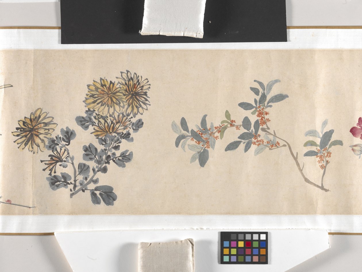 Bunte Blumen von Zhimian Zhou