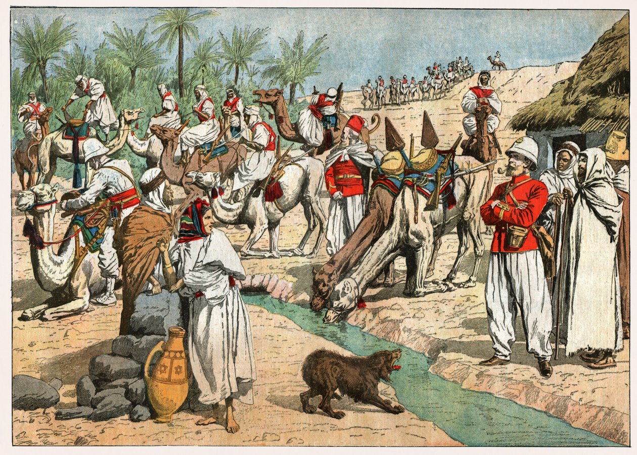 Oase in der Sahara von . .