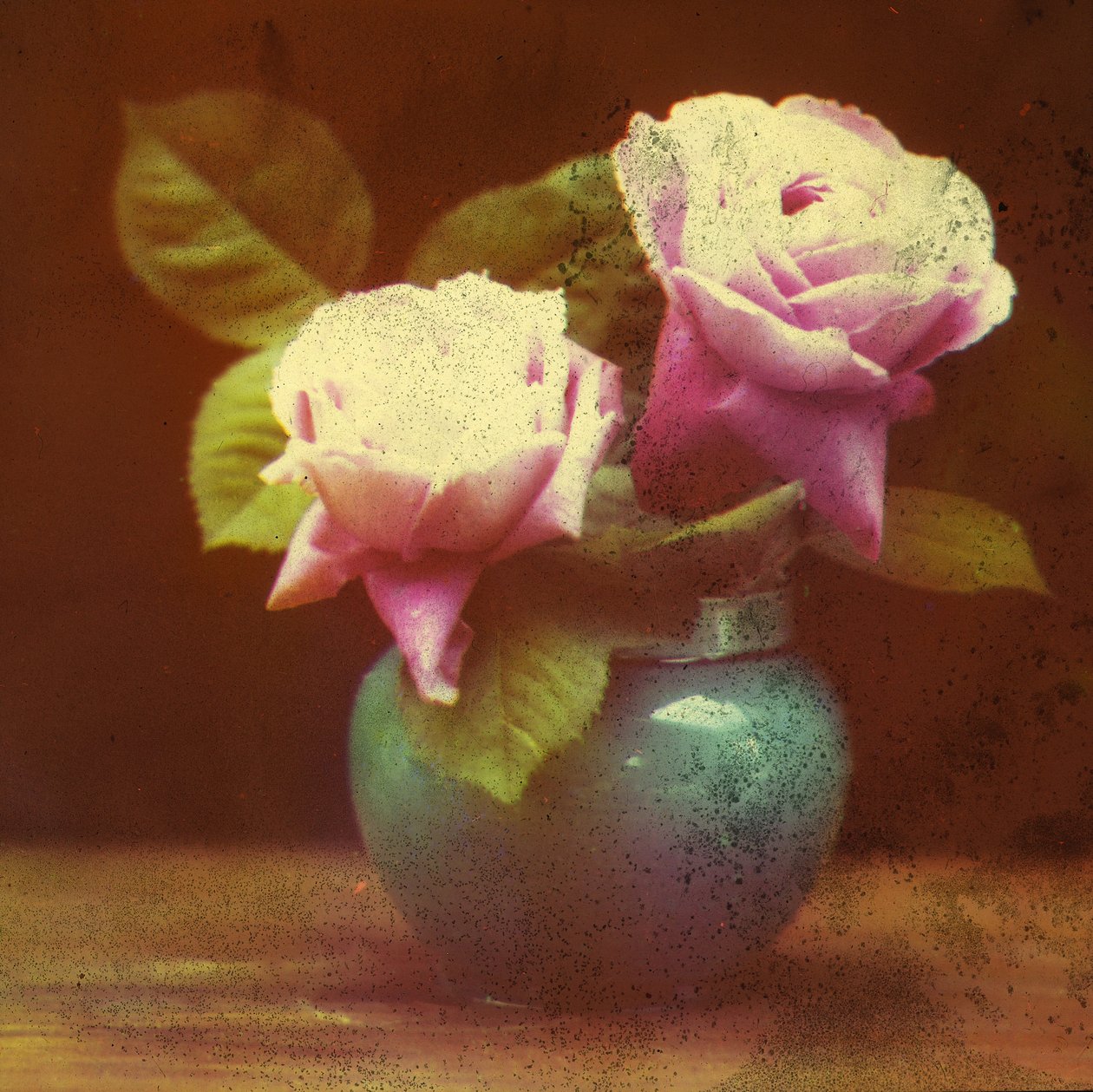 Rosen von Frederick (attr. to) Barnard