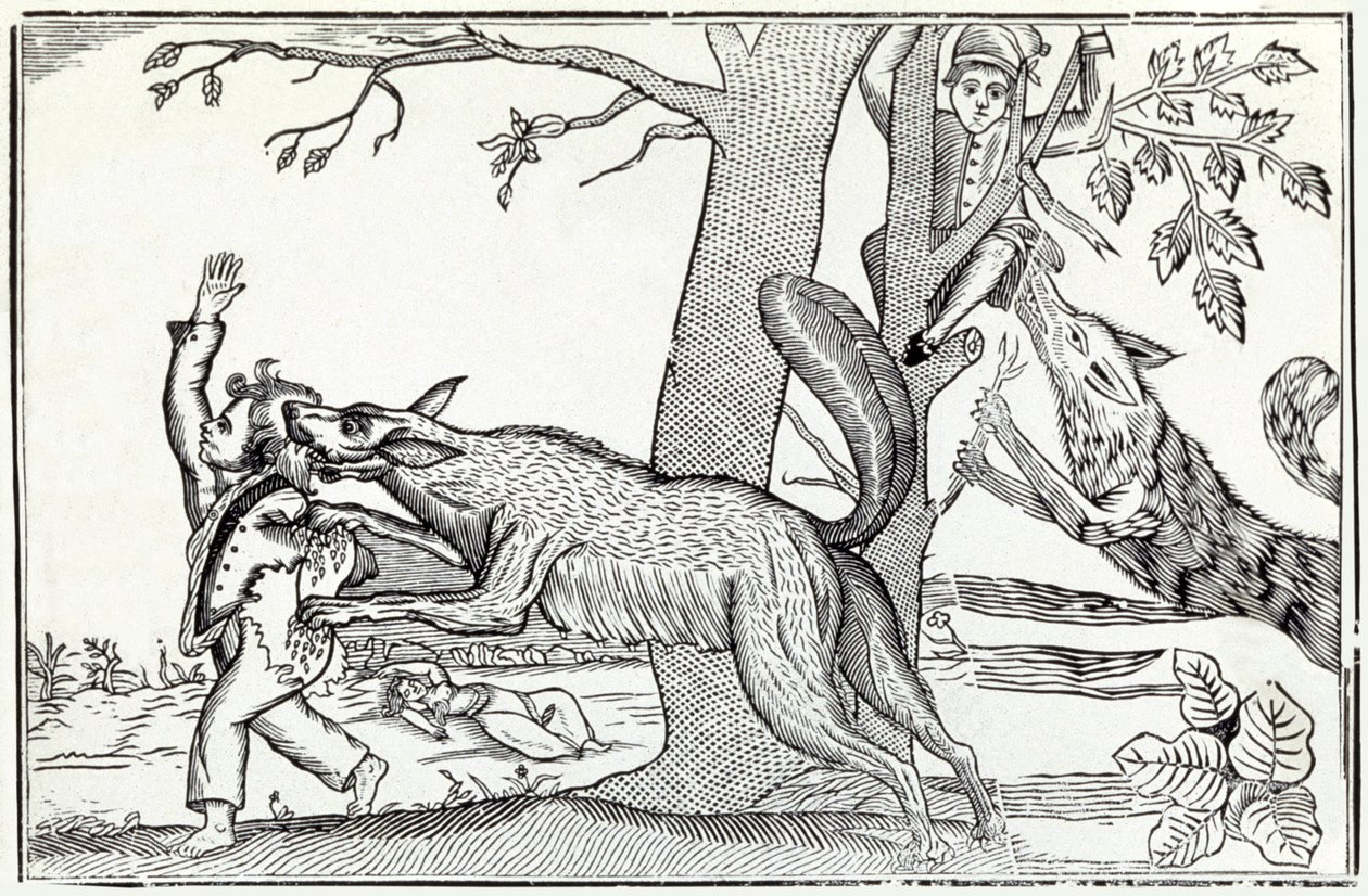 Der Wolf ca. 1820 (Gravur) von . .