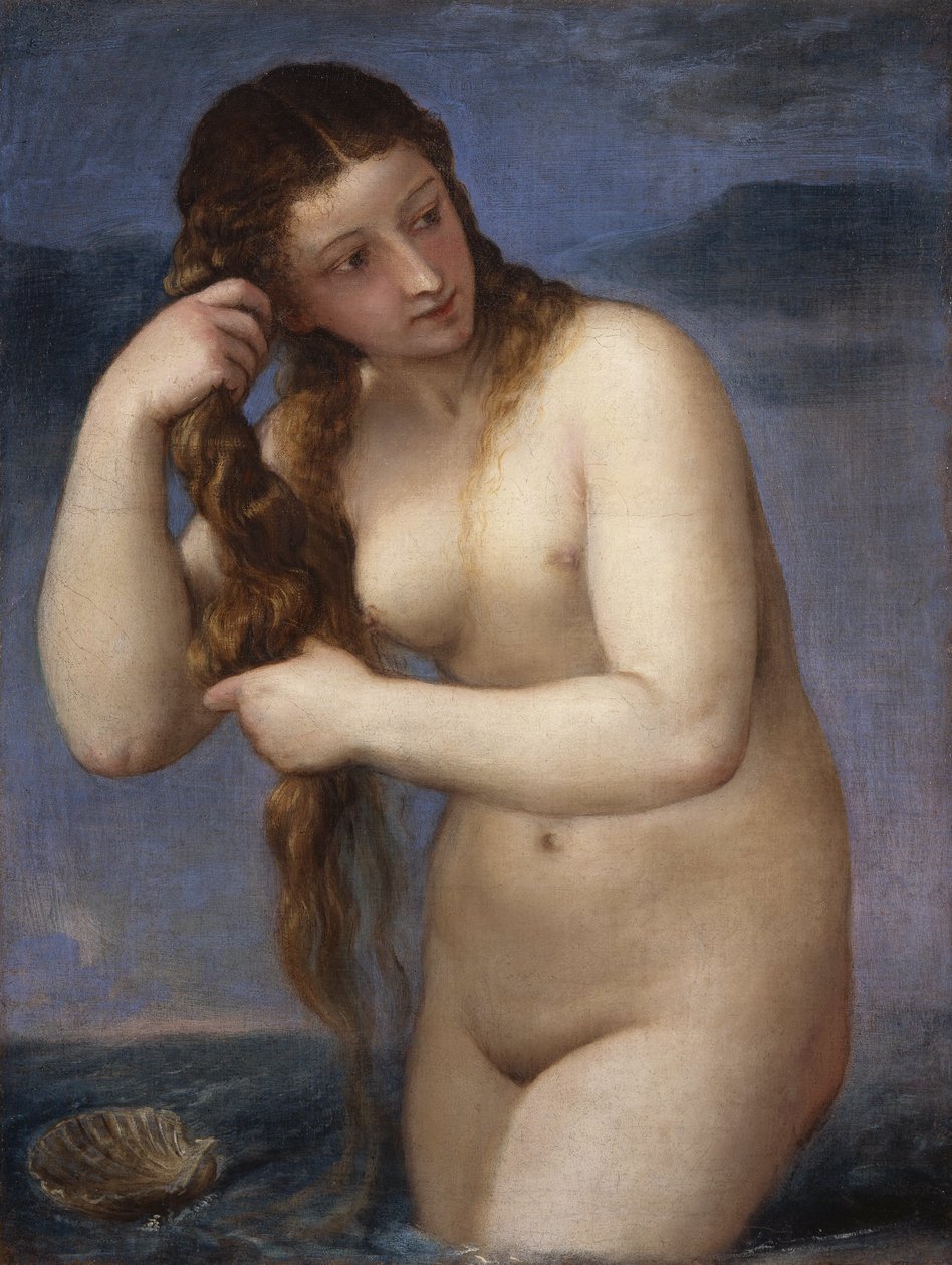 Venus Anadyomene von Tiziano Vecelli