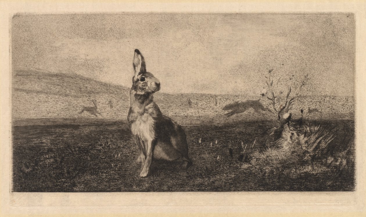 Der Hase (Le Lièvre) von after Albert de Balleroy